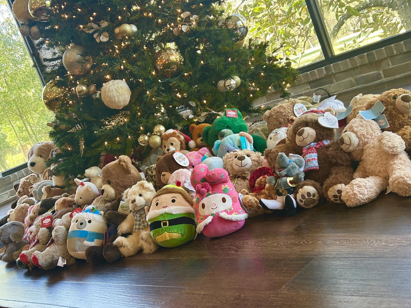 594964226_1355865076584651_3828574436759920665_n